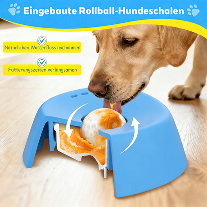 Tinycarry® Von Tierärzten empfohlene Langsamfütterungsschale für Hunde und Katzen – Interaktives Anti-Schluck-Napf für gesunde Mägen